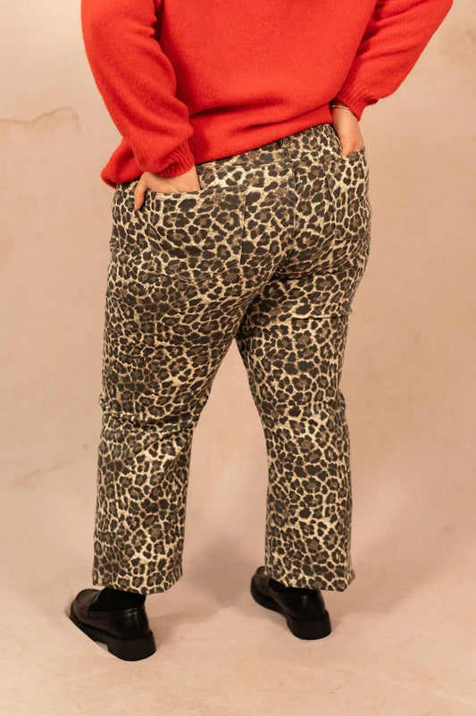 Jeans droit imprimé léopard - Jeans Eve - grande taille -  LAÏLLA