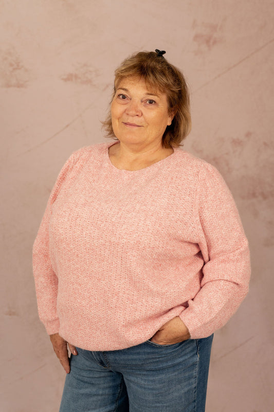 Pull manches longues - Pull Wendy